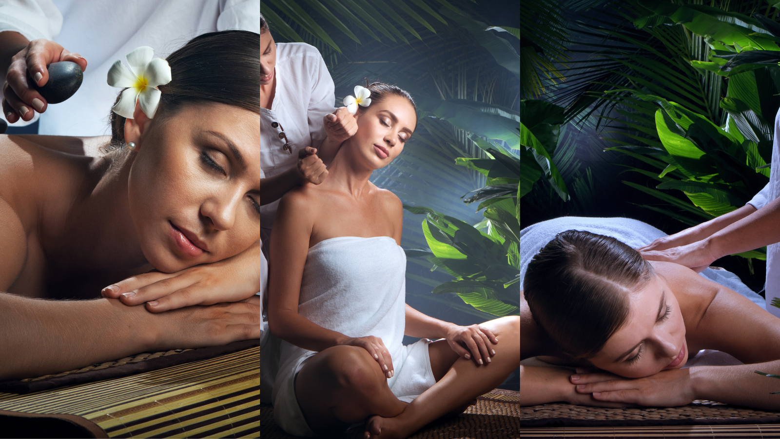 Massage professionnel